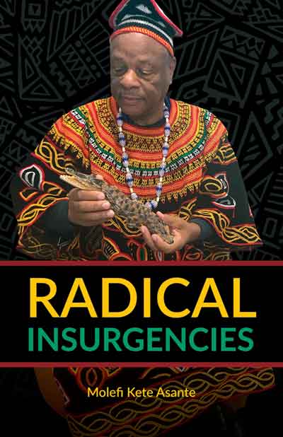 Radical Insurgencies